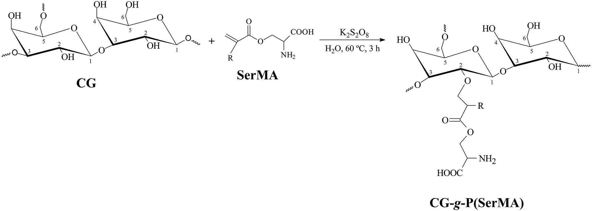 Scheme 1 Amino Acid Modified Cashew Gum Flocculant Synthesis Characterization And Application Springerlink
