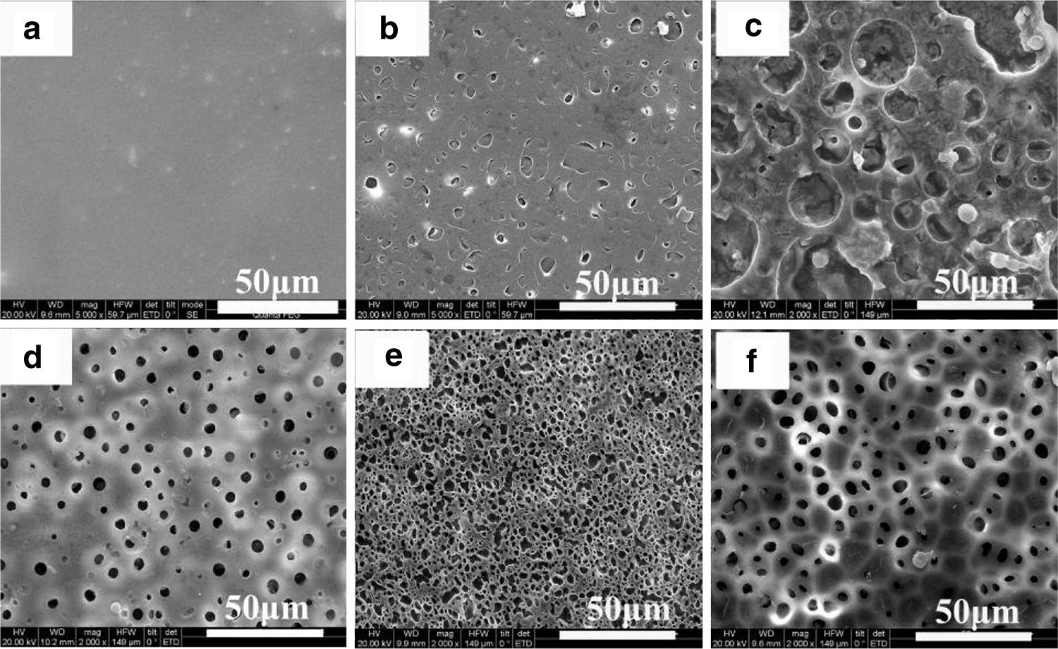 Figure 3 Floating And Stable G C 3 N 4 Pmma Cfs Porous Film An Automatic Photocatalytic Reaction Platform For Dye Water Treatment Under Solar Light Springerlink