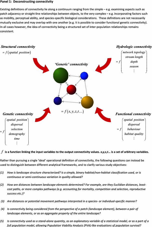 Population Connectivity Recent Advances And New Perspectives Springerlink