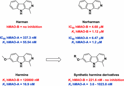 Figure 1 | Selective MAO-B inhibitors: a lesson from natural products |  SpringerLink