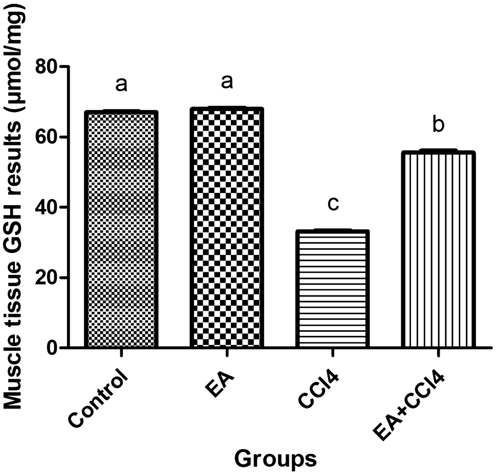 Figure 3 | The effect of ellagic acid on caspase-3/bcl-2/Nrf-2/NF-kB/TNF-α  /COX-2 gene expression product apoptosis pathway: a new approach for muscle  damage therapy | SpringerLink