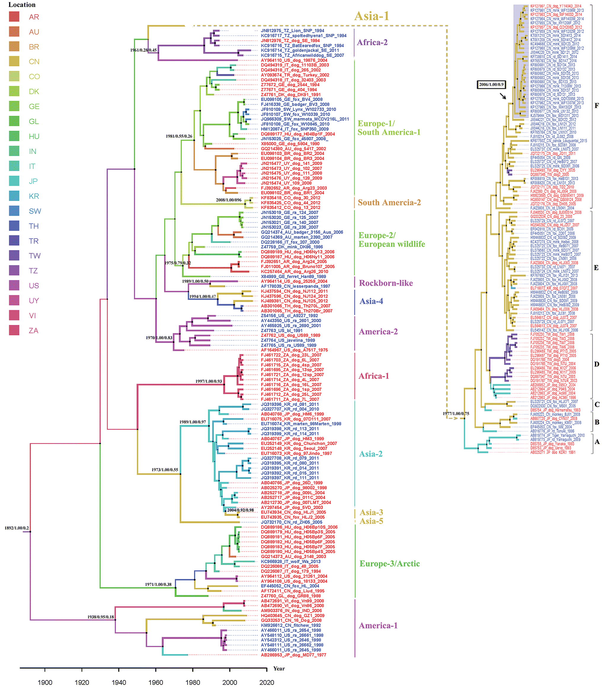 Figure 2 Phylodynamic Analysis Of Two Amino Acid Substitutions In The Hemagglutinin Protein Of Canine Distemper Virus Strains Detected In Fur Bearing Animals In China Springerlink