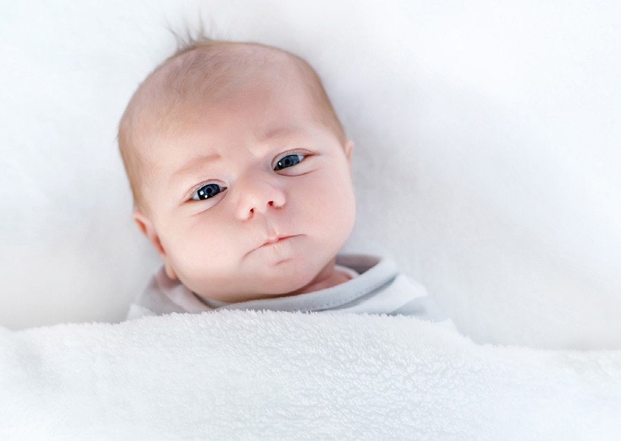 Von Wegen Baby Blues Springerlink