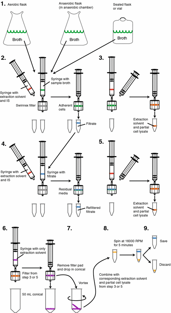 Figure 1 | Fast Swinnex filtration (FSF): a fast and robust sampling and  extraction method suitable for metabolomics analysis of cultures grown in  complex media | SpringerLink