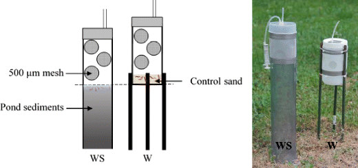 Type of cages used for active biomonitoring, the cage on the left (WS) allows exposing the midges to water and sediment. In contrast, the cage on the right (W) allows exposing the midges to water only.