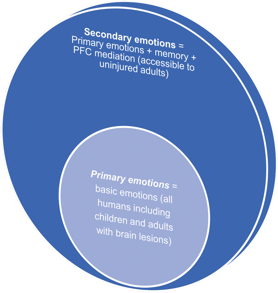 And secondary emotions emotions primary DBT Skills: