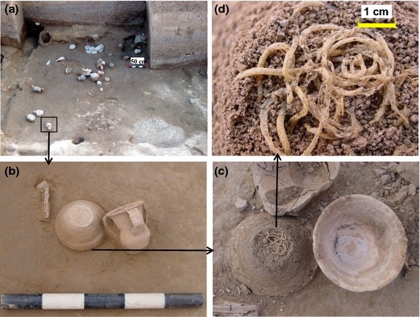 Figure 2 Component And Simulation Of The 4 000 Year Old Noodles Excavated From The Archaeological Site Of Lajia In Qinghai China Springerlink