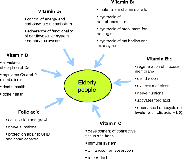 Fig. 2