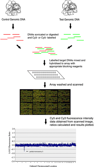 Fig. 1