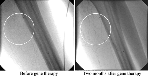 Fig. 6