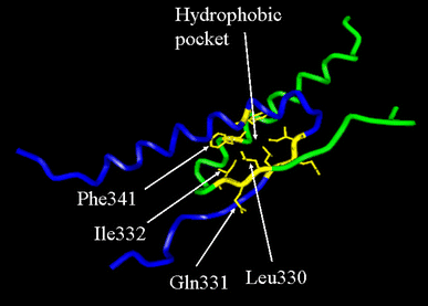 Fig. 3