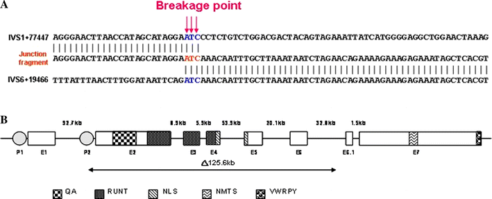 Fig. 4