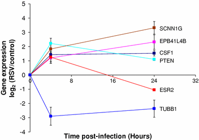 Fig. 4