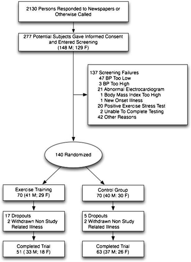 Figure 1 Effect Of Exercise On Blood Pressure In Type 2 Diabetes A Randomized Controlled Trial Springerlink