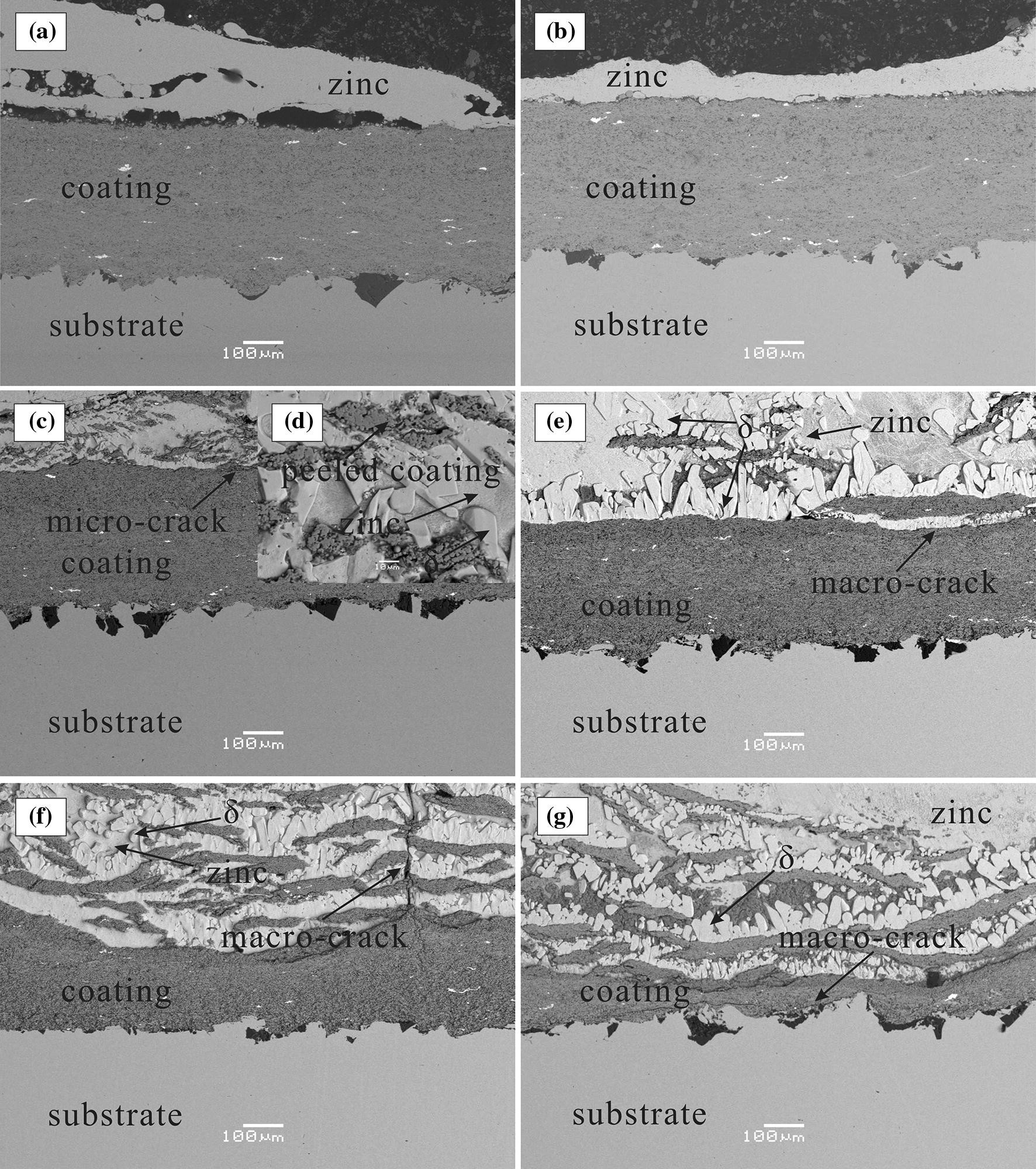 Figure 10 Corrosion Resistance To Molten Zinc Of A Novel Cermet Coating Deposited By Activated Combustion High Velocity Air Fuel Ac Hvaf Springerlink