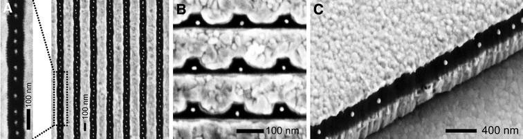 Figure 24