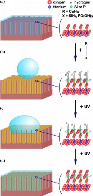 Figure 19