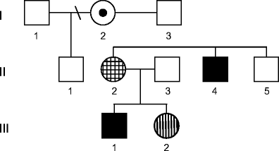 Fig. 1