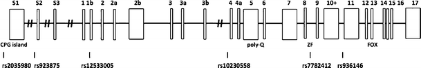 Fig. 1