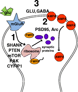 Fig. 2