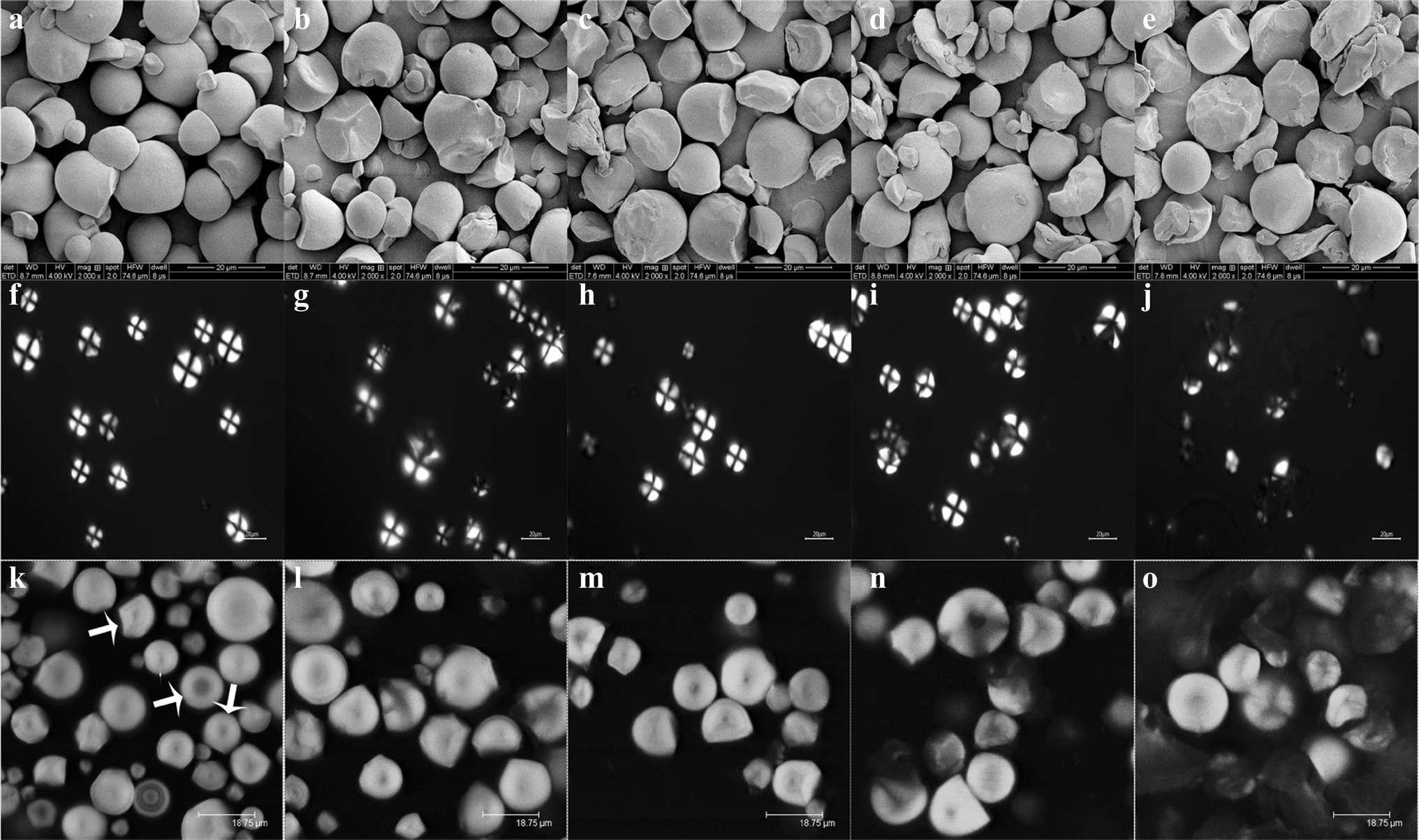 Figure 2 Preparation Of Acetylated Starch By Rolling Assisted Method And Its Influence Mechanism Springerlink