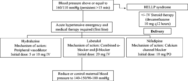 Figure 2 Pathophysiology And Current Clinical Management Of Preeclampsia Springerlink