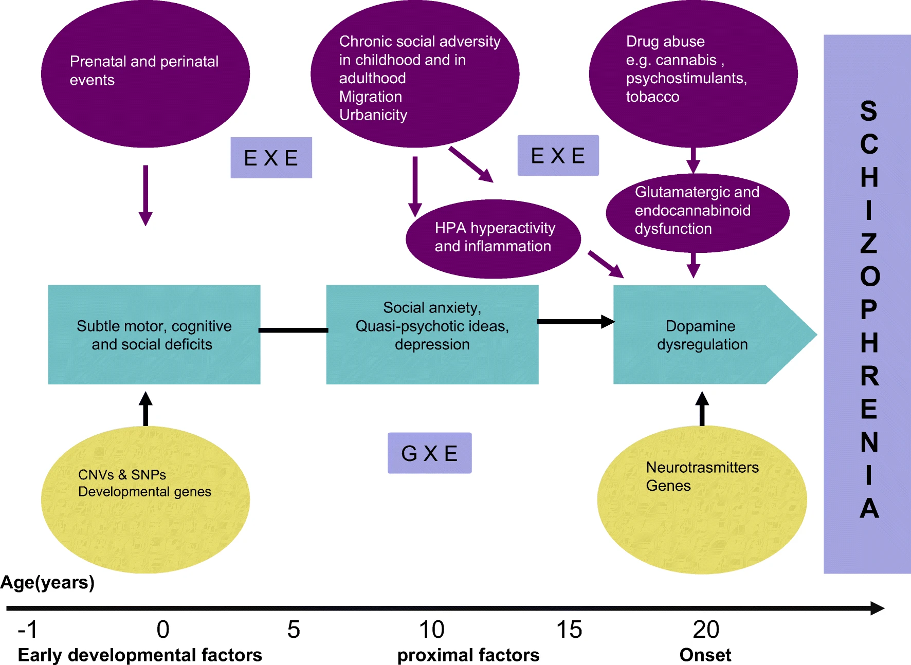 This image is from Stilo, S.A., Murray, R.M. Non-Genetic Factors in Schizophrenia. Curr Psychiatry Rep 21, 100 (2019). https://doi.org/10.1007/s11920-019-1091-3.