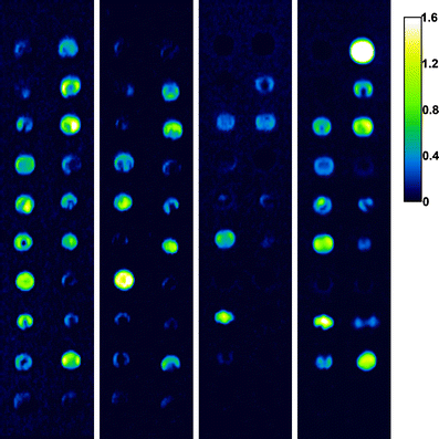 Fig. 4