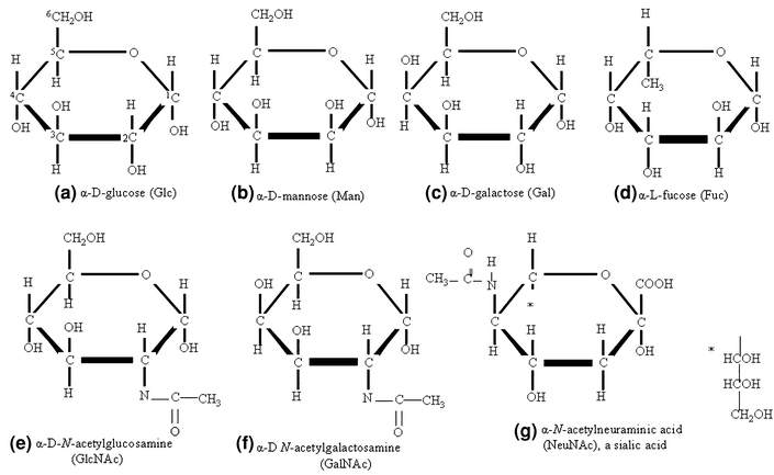 Figure 1 Strategies For Analysis Of The Glycosylation Of Proteins Current Status And Future Perspectives Springerlink