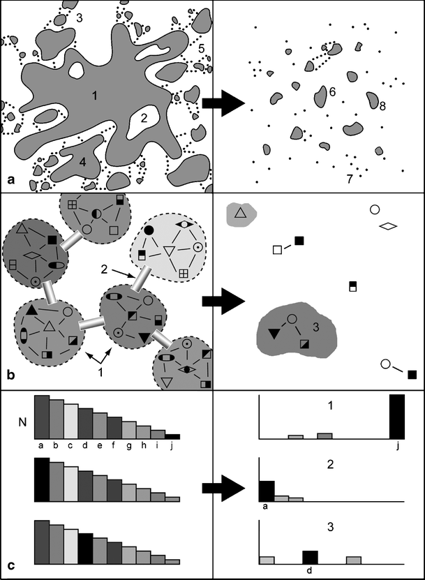 Fig. 6