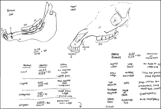 Fig. 3