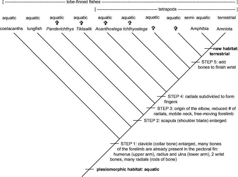 Fig. 3