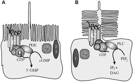 Fig. 11