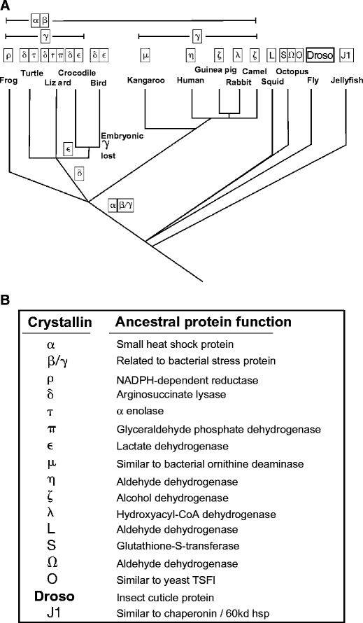 Fig. 13