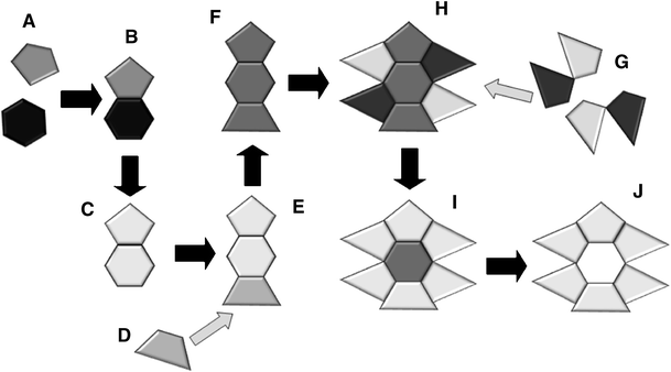 Fig. 3