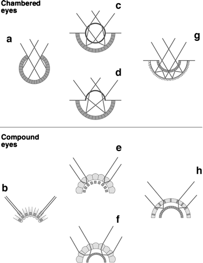 Fig. 5