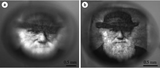 Fig. 7