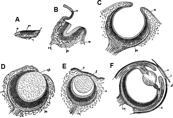 Fig. 9