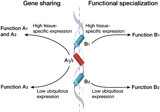 Fig. 4