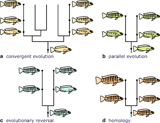 Fig. 5