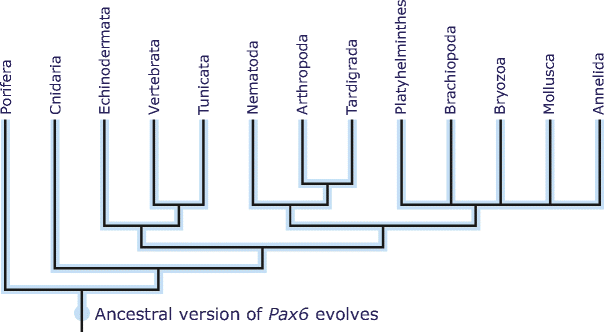 Fig. 6