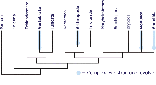 Fig. 7