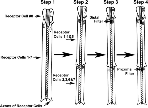 Fig. 8