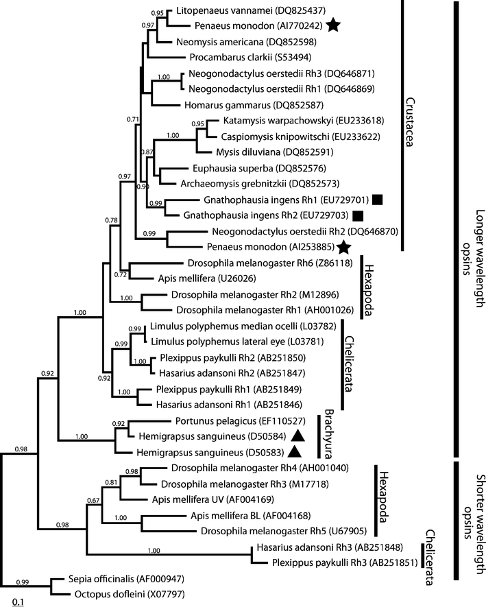 Fig. 9