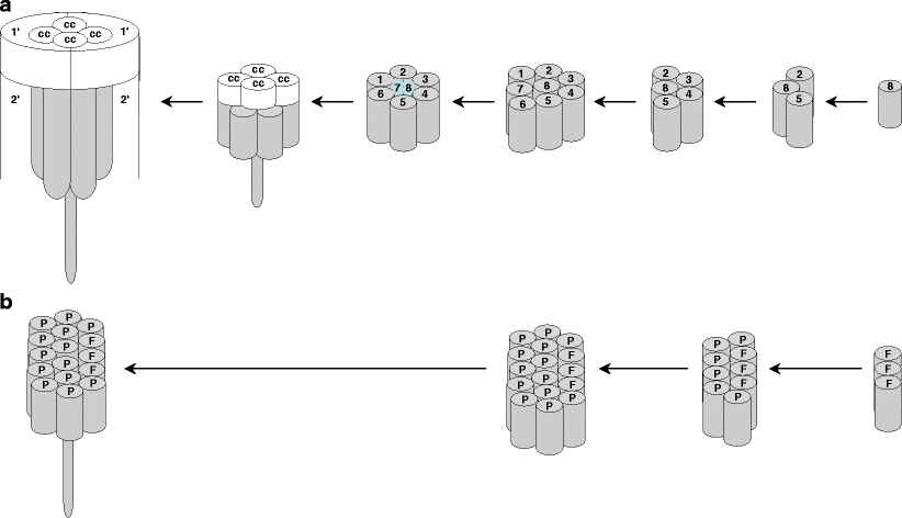 Fig. 8