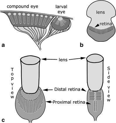 Fig. 9