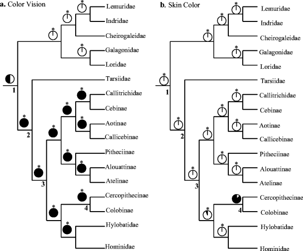 Fig. 3