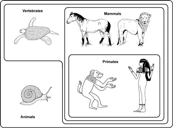 Fig. 3