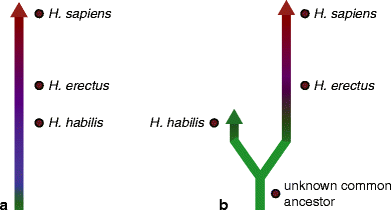 Fig. 4