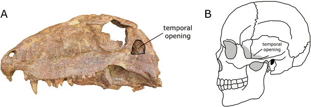 Fig. 5